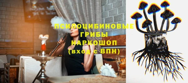 МДПВ Абаза