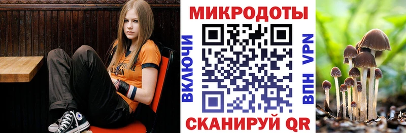 Псилоцибиновые грибы GOLDEN TEACHER  кракен маркетплейс  Александров  закладки 